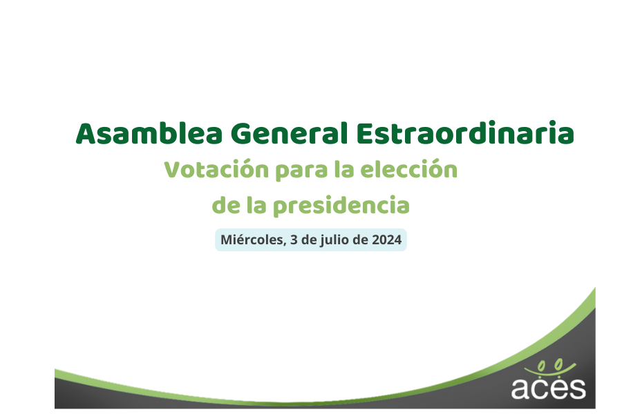 Asamblea_General Elecciones 2024
