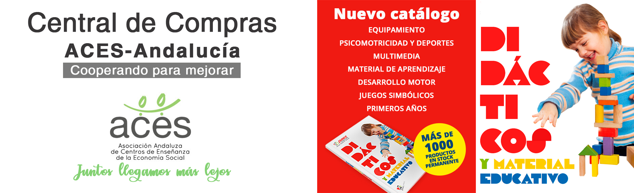2025 banner PAEZ 2025 Banner PAEZ