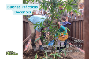 Colegio Al-Andalus – Sombras con bambú